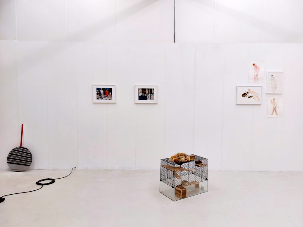 SCHAM, Gruppenausstellung