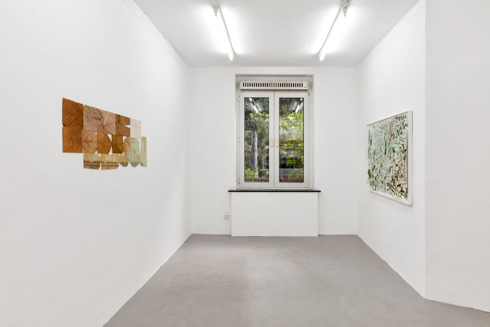 aura_oberflaechenspannung_sept2021_16