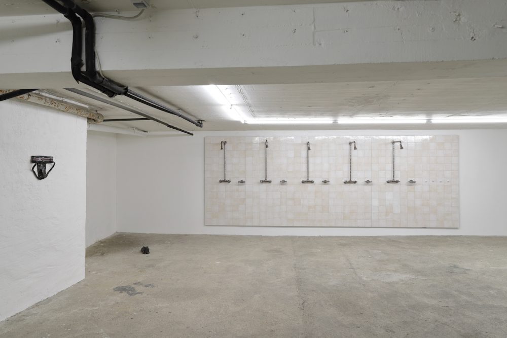 Janis Löhrer, wet room, installation view 2, BLOOM, 2025