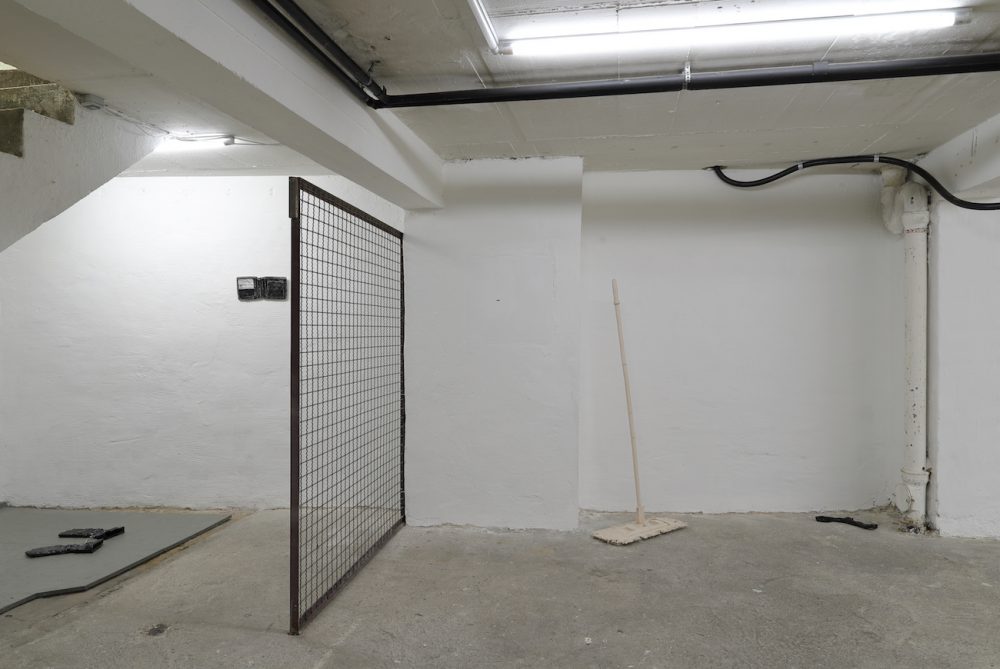 Janis Löhrer, wet room, installation view 3, BLOOM, 2025