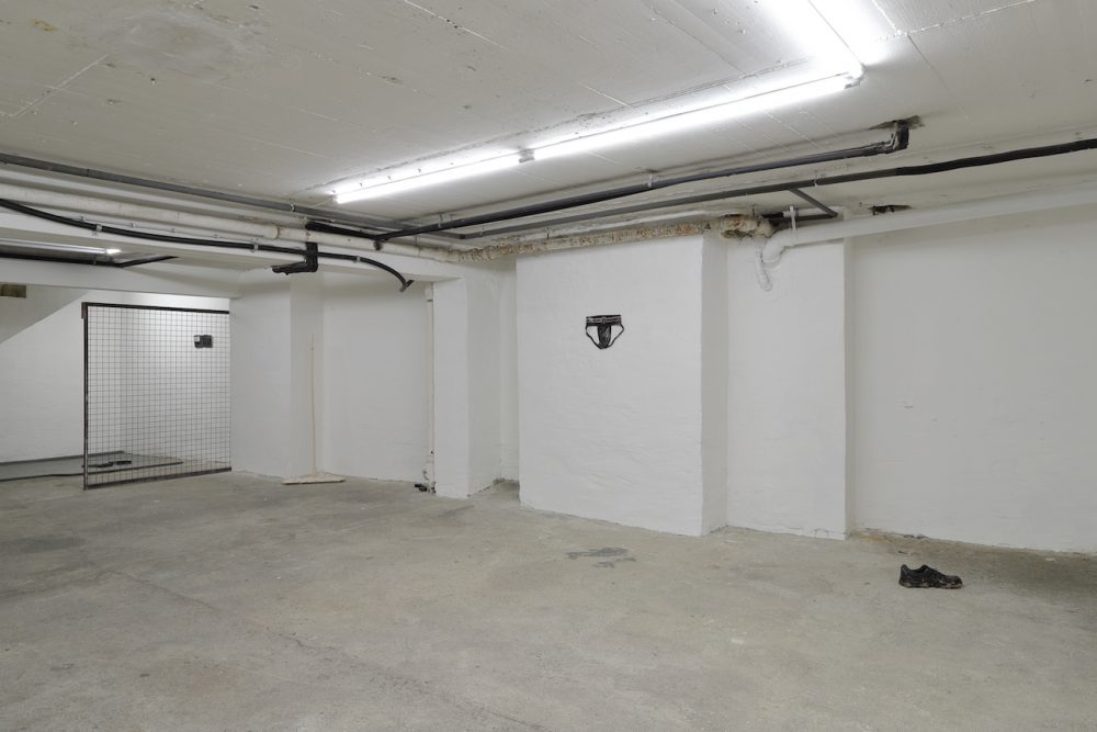 Janis Löhrer, wet room, installation view 4, BLOOM, 2025